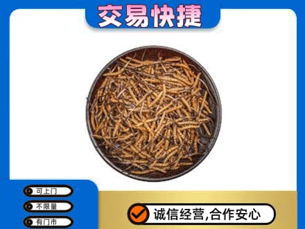 佛山高明区高价回收散虫草